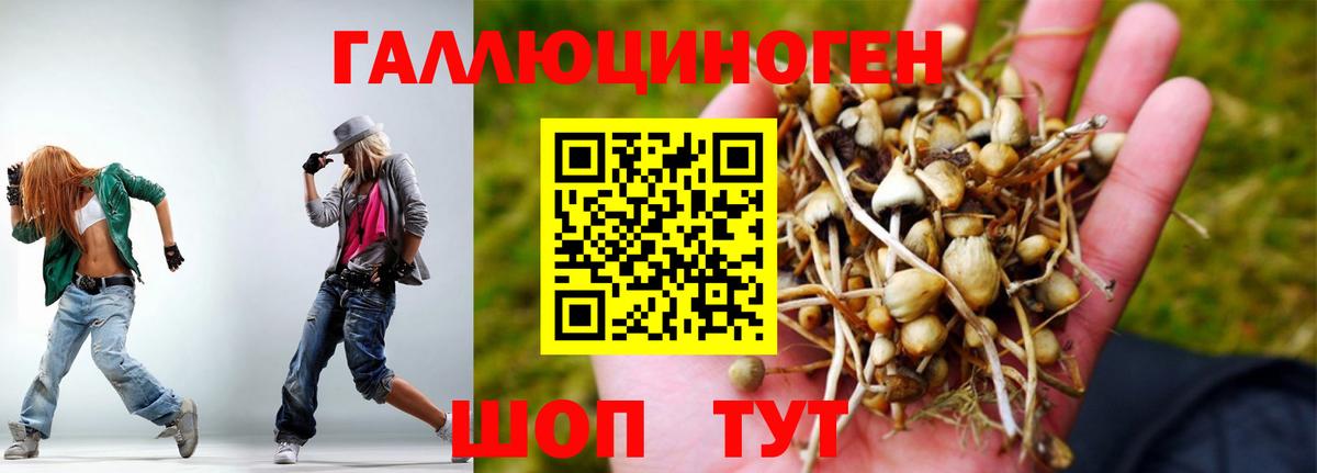 Псилоцибиновые грибы ЛСД Екатеринбург